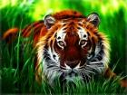 Tiger Irani آواتار ها