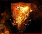 mahtab233 آواتار ها